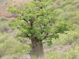 270709_10150262256049901_1107814_n